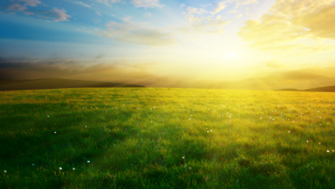 Sunrise-474px Sunrise-474px